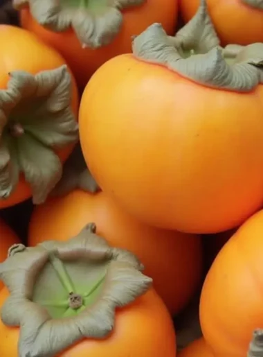 Persimmons fruit